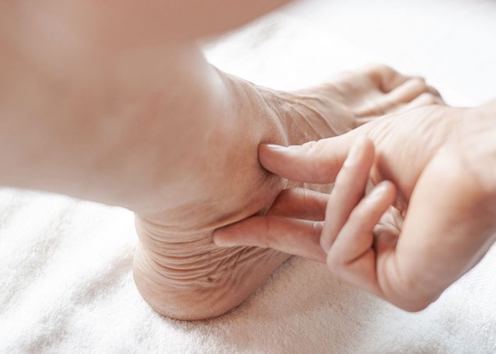 akademie_vollmer_perip_nervensystem